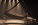 Regards Noirs : Cirque - Noir M1