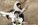 Concert : Paul Lay, Alcazar memories